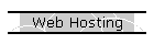 Web Hosting
